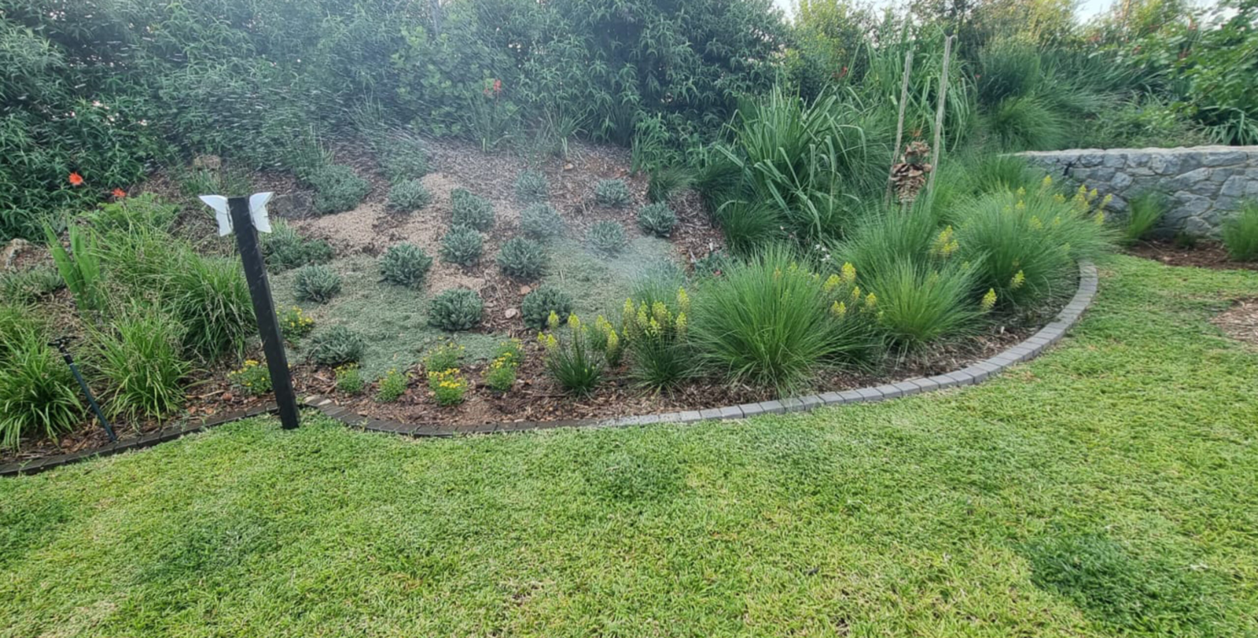 Automatic watering in the park at dawn